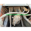 DOOSAN DX340 Excavator 34 Tons Original Korea No Paint تستخدم حفارة كبيرة للبيع